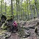 IMG 2329