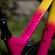 Marin Alpine Trail Carbon Fun² 2024 Custom Build