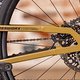 Crossworx-9