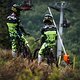 AON Racing ist das einzige komplett neue World Series-Team