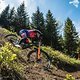 orbea-98984