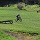 IMG 9695