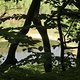 130509 Pellenzerseepfad02