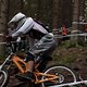 IMG 1342
