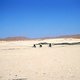 Radler in der Namib Wüste