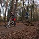 IMG 1965