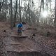 IMG 1541