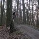 IMG 1435
