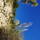 TransVerdon2016 (144)