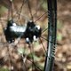 e13 Sidekick-Nabe 2025 – Neuvorstellung und Test
