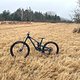 Propain Tyee 6 CF 2025