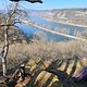 Osterspai Wandern, Langhalswanderweg