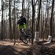 Bike Beerfelden P 399