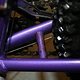 IMG 3748