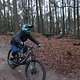 IMG 1186