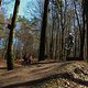 20160326-IMG 4117