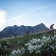 Matt Beers leads a group of riders during stage 6 of the 2019 Absa Cape Epic Mountain Bike stage race from the University of Stellenbosch Sports Fields in Stellenbosch, South Africa on the 23rd March 2019

Photo by Nick Muzik/Cape Epic

PLEASE EN