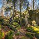 20250316-03 Wesenitzrunde