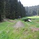 IMG 9755