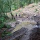 IMG 7117