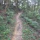 HK MTB Trail Tin Fu Tsai North Section