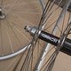 Shannon/MAVIC 221 -verkauft-