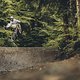 DG Endura CustomLines DyfiBikePark-459