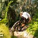 Florida Jungle Trails