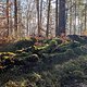 Winterpokal-Aktivität