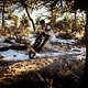 JamesStokoePhoto HUNT7859 (1)