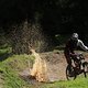 IMG 5284