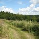 IMG 0040