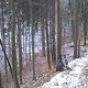 IMG668