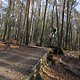 IMG 1915