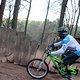 IMG 1174
