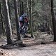 DSC 0050