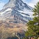 EWSZermatt19 w3a6027