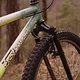 I.R.D. Expedition Fork MInion DH 24x 2,3