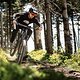 Der Rahmen bietet definitiv das Potential für harten Enduro-Einsatz