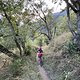 IMG 4449