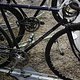 IMG 1895