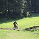 IMG 9941