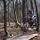 Bike Beerfelden P 215