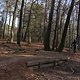 IMG 1767