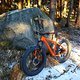Fatbike Jesus