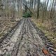 Gosecker Forst 🚵‍♂️ - Kreuz und quer, da geht noch mehr