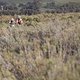 Riders during Stage 1 of the 2024 Absa Cape Epic Mountain Bike stage race from Saronsberg Wine Estate to Saronsberg Wine Estate, Tulbagh, South Africa on the 18th March 2024. Photo by Sam Clark/Cape Epic
PLEASE ENSURE THE APPROPRIATE CREDIT IS GIVEN 