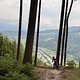 IMG 3682