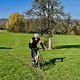 Herbstliche Ausfahrt