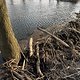 IMG 5190